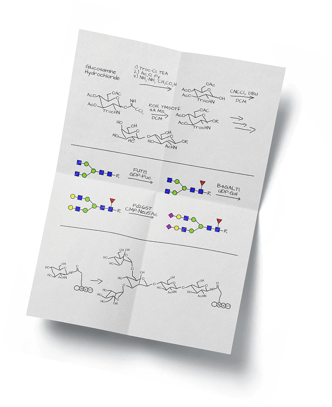 One page document highlighting chemical and enzymatic strategies commonly used in carbohydrate synthesis.