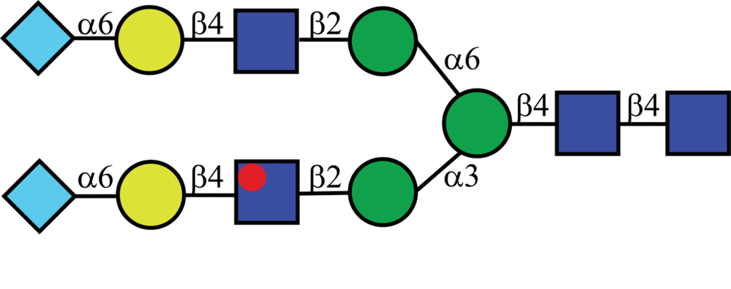 Isotopically labeled N-linked glycan with Oxford nomenclature A2G2Neu5Gc2(α2,6)