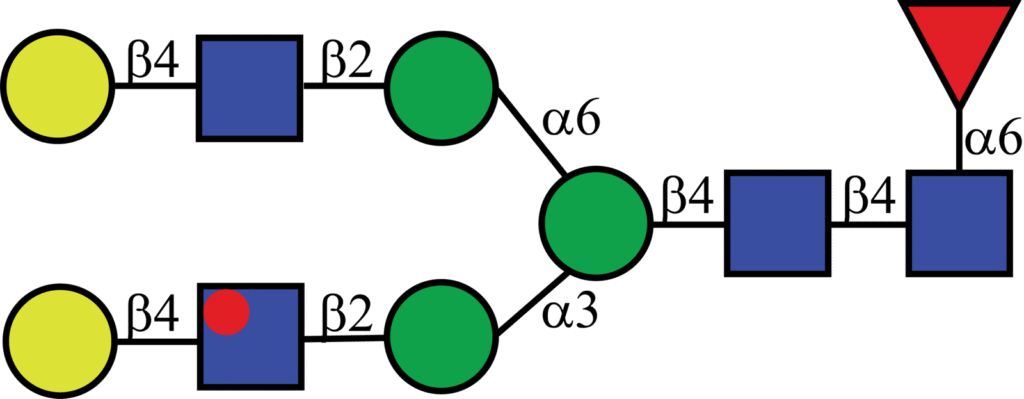 Isotopically labeled N-linked glycan with Oxford nomenclature FA2G2