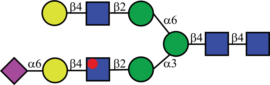 Isotopically labeled N-linked glycan with Oxford nomenclature A2G2[3]S(α2,6)