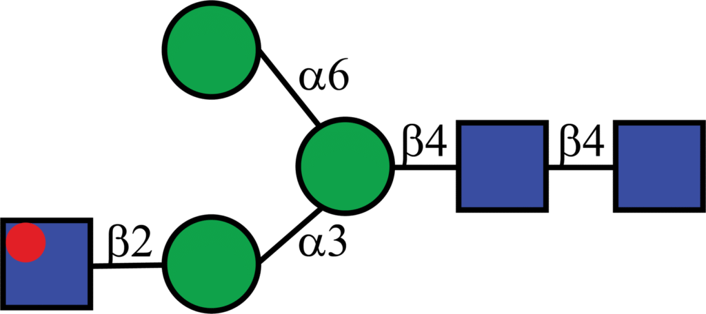 Isotopically labeled N-linked glycan with Oxford nomenclature A1