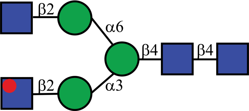 Isotopically labeled N-linked glycan with Oxford nomenclature A2