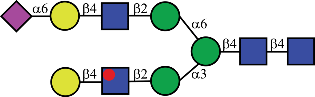 Isotopically labeled N-linked glycan with Oxford nomenclature A2G2[6]S(α2,6)