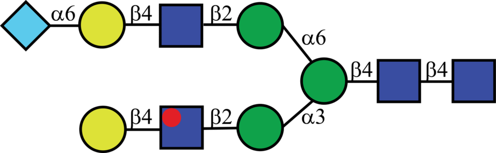 Isotopically labeled N-linked glycan with Oxford nomenclature A2G2[6]Neu5Gc(α2,6)