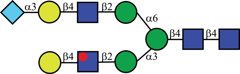 Isotopically labeled N-linked glycan with Oxford nomenclature A2G2[6]Neu5Gc(α2,3)