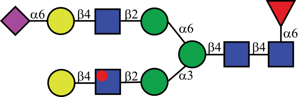 Isotopically labeled N-linked glycan with Oxford nomenclature FA2G2[6]S(α2,6)