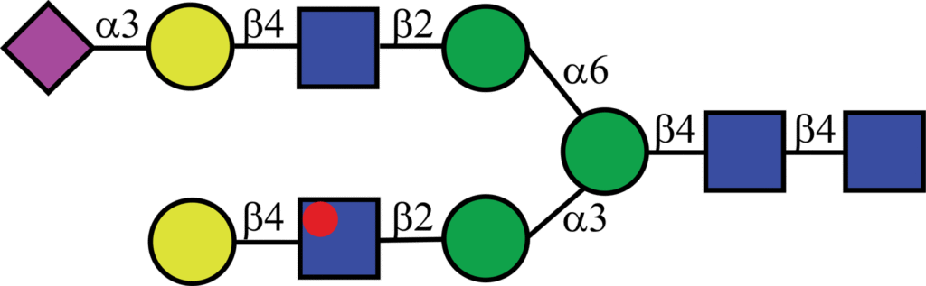 Isotopically labeled N-linked glycan with Oxford nomenclature A2G2[6]S(α2,3)