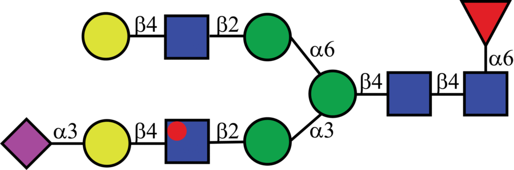 Isotopically labeled N-linked glycan with Oxford nomenclature FA2G2[3]S(α2,3)