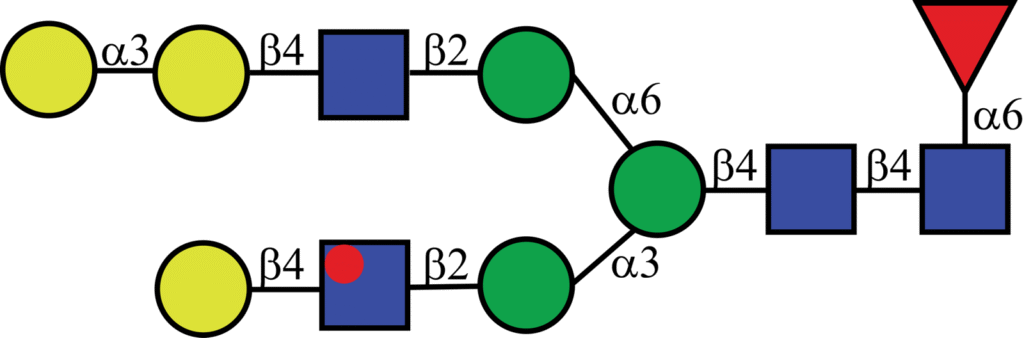 Isotopically labeled N-linked glycan with Oxford nomenclature FA2G2[6]G(α1,3)