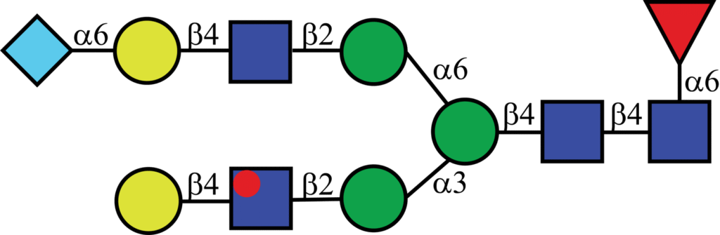 Isotopically labeled N-linked glycan with Oxford nomenclature FA2G2[6]Neu5Gc(α2,6)