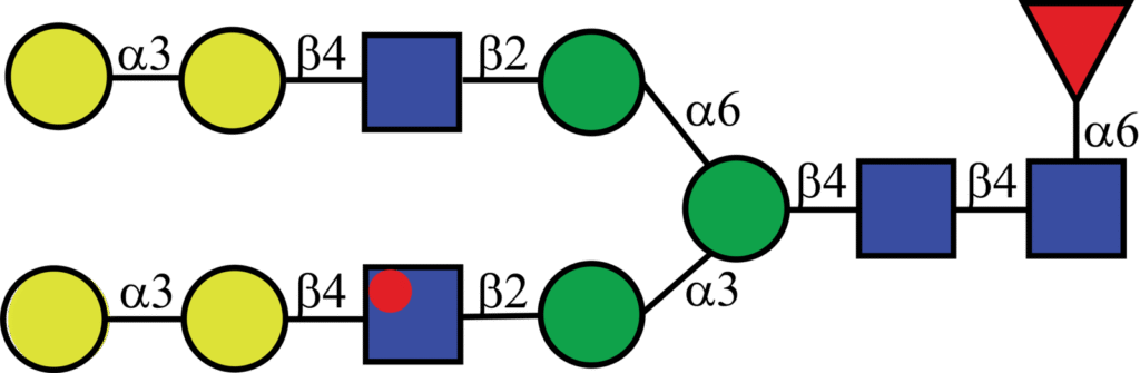 Isotopically labeled N-linked glycan with Oxford nomenclature FA2G4