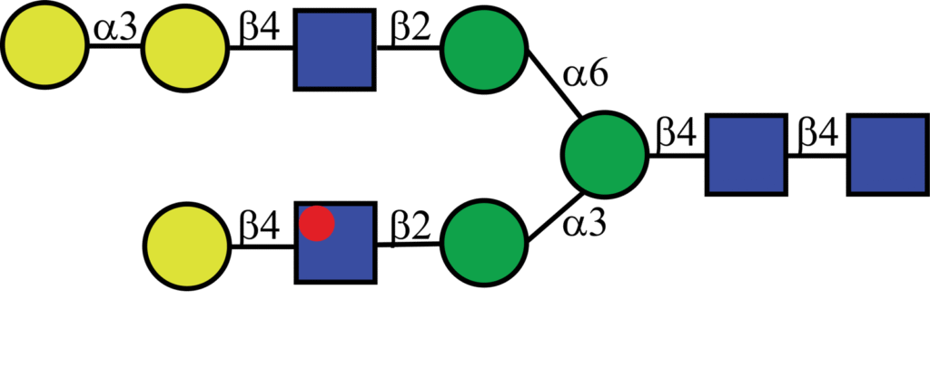 Isotopically labeled N-linked glycan with Oxford nomenclature A2G2[6]G(α1,3)