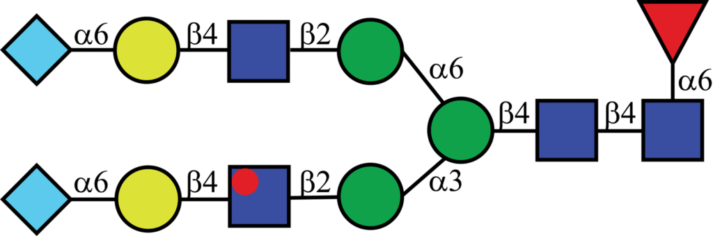 Isotopically labeled N-linked glycan with Oxford nomenclature FA2G2Neu5Gc2(α2,6)