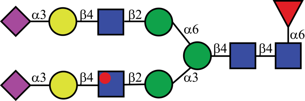 Isotopically labeled N-linked glycan with Oxford nomenclature FA2G2S2(α2,3)